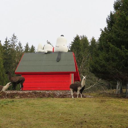Apartmán Haus Antonis Triberg im Schwarzwald Exteriér fotografie