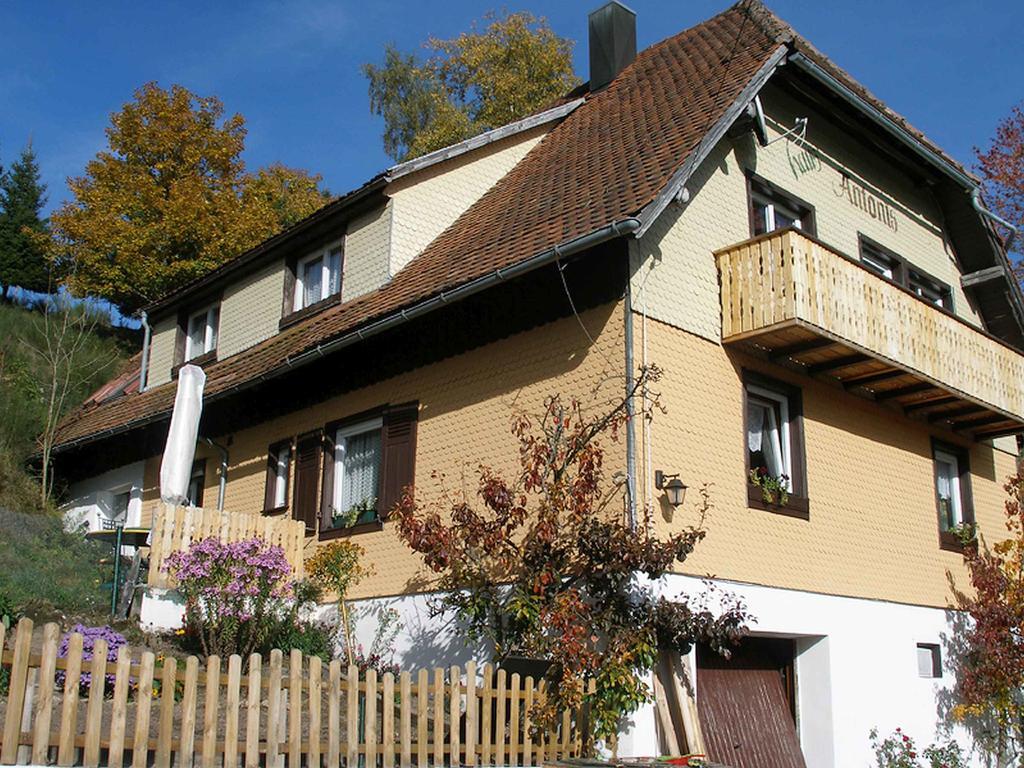 Apartmán Haus Antonis Triberg im Schwarzwald Exteriér fotografie