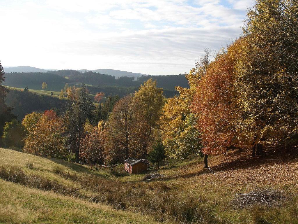 Apartmán Haus Antonis Triberg im Schwarzwald Exteriér fotografie