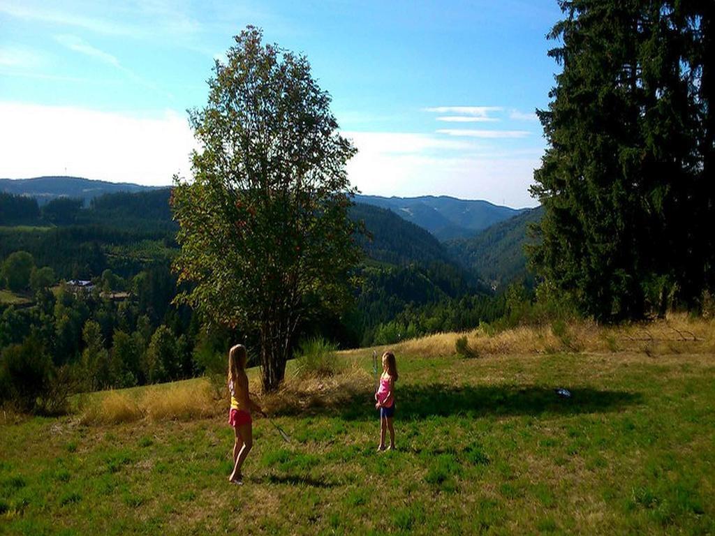 Apartmán Haus Antonis Triberg im Schwarzwald Exteriér fotografie