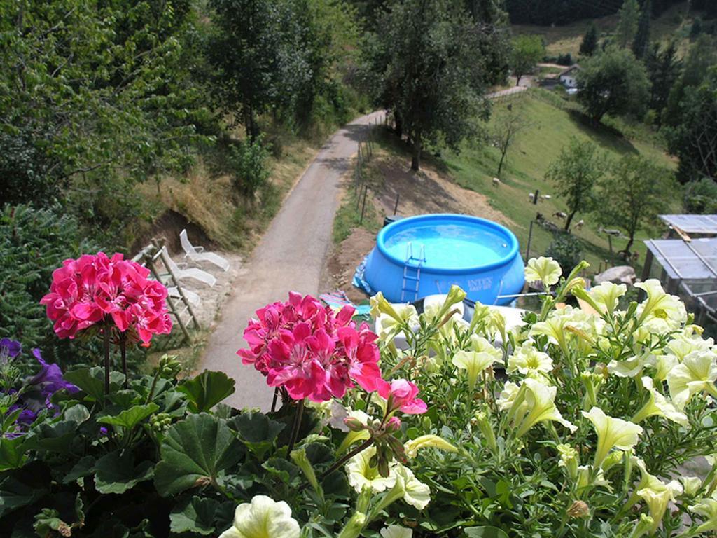 Apartmán Haus Antonis Triberg im Schwarzwald Exteriér fotografie