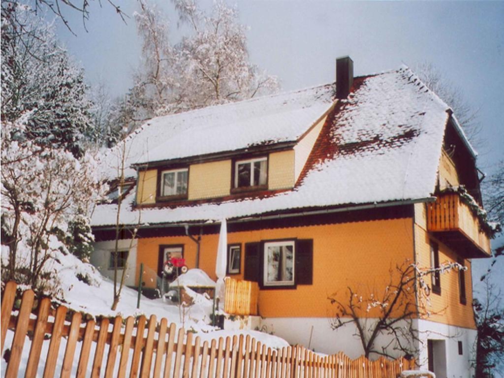 Apartmán Haus Antonis Triberg im Schwarzwald Exteriér fotografie