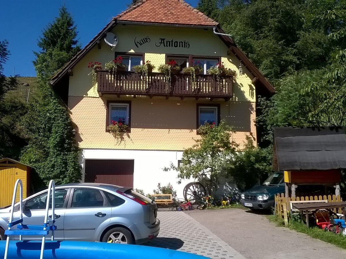 Apartmán Haus Antonis Triberg im Schwarzwald Exteriér fotografie