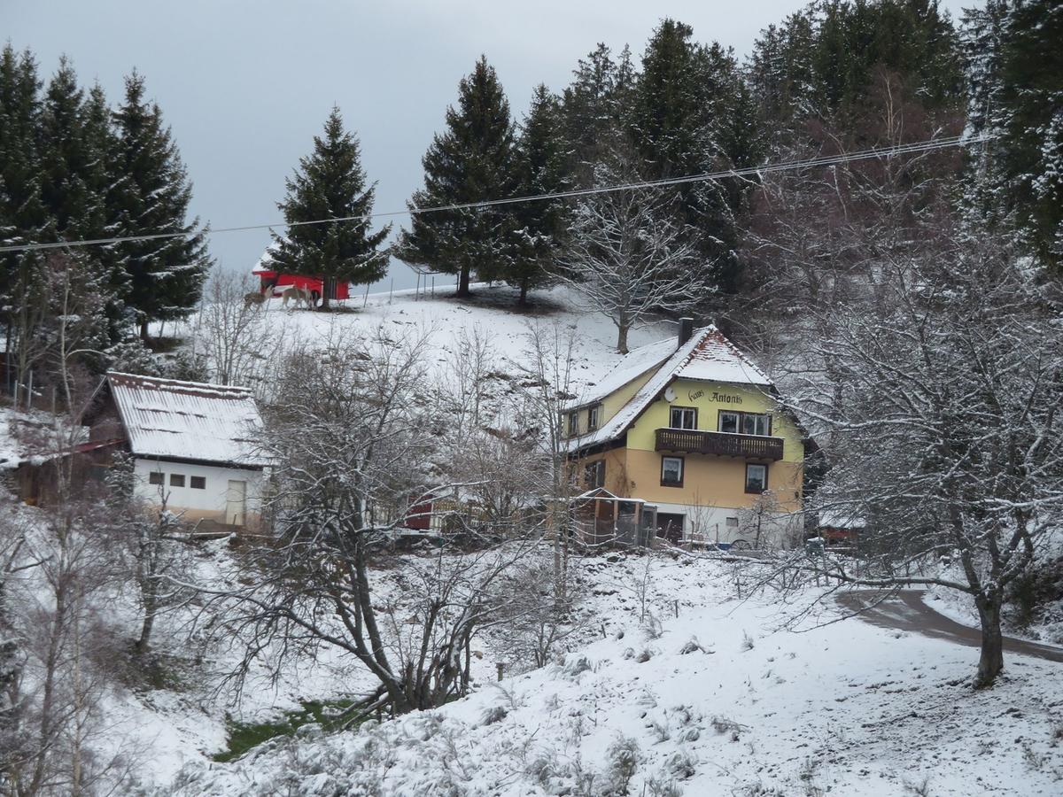 Apartmán Haus Antonis Triberg im Schwarzwald Exteriér fotografie